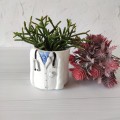 Personalized doctor pot Customized planter