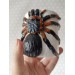 Tarantula spider pot Creepy decor Spider lover