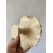 Checkered amanita mushroom incense holder