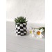 Checkered plant pot